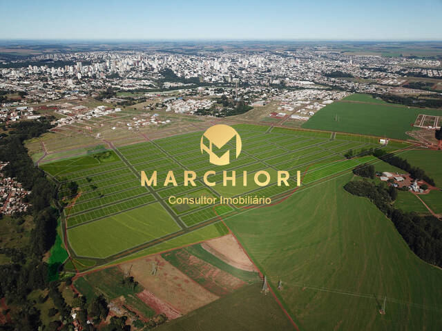 #171 - Terreno para Venda em Cascavel - PR - 1