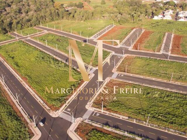 #194 - Terreno para Venda em Cascavel - PR - 3