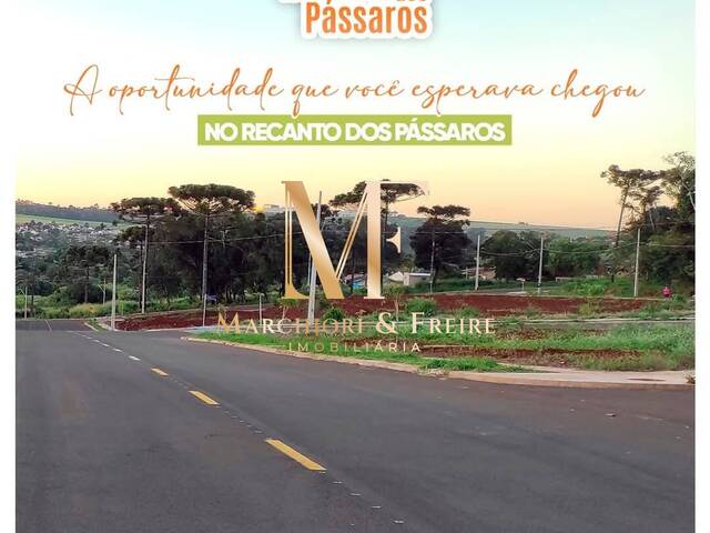 #793 - Terreno para Venda em Cascavel - PR - 1