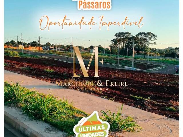#793 - Terreno para Venda em Cascavel - PR - 3