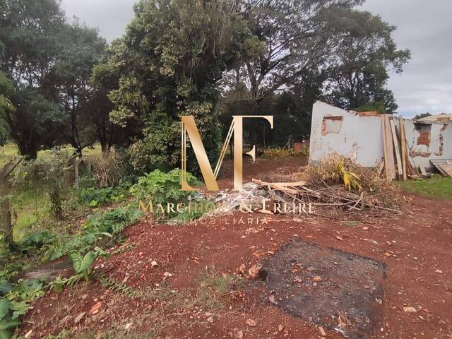 Terreno para Venda em Cascavel - 5