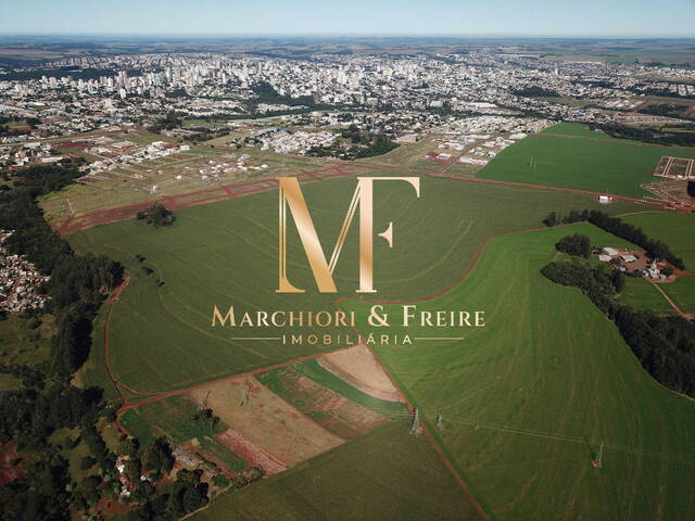 #171 - Terreno para Venda em Cascavel - PR - 1