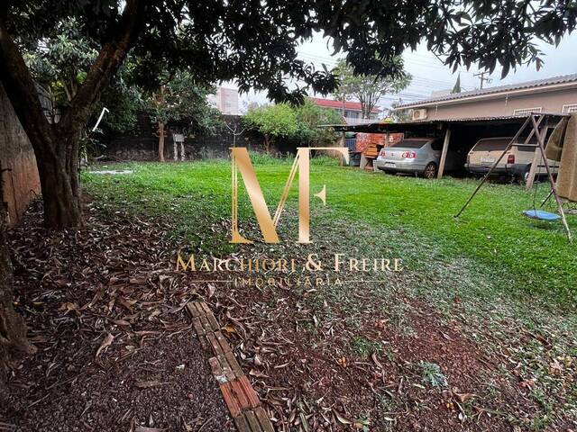 #569 - Terreno para Venda em Cascavel - PR - 3