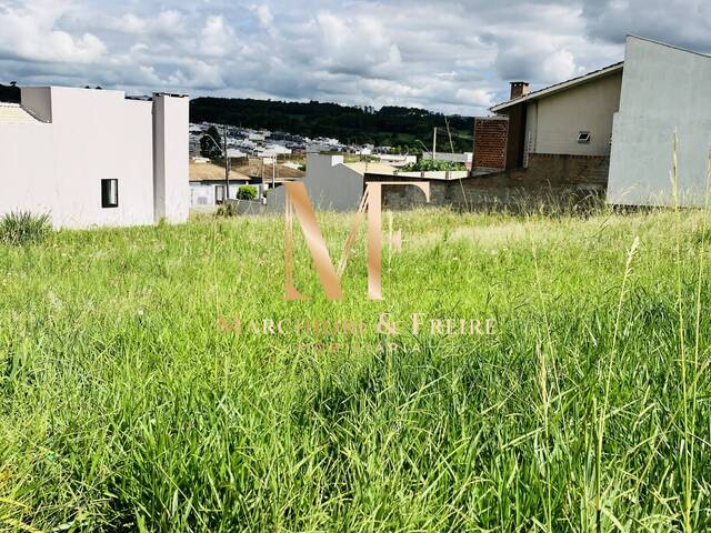#873 - Terreno para Venda em Cascavel - PR - 2
