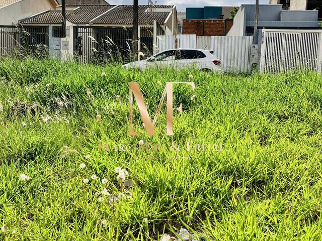 #873 - Terreno para Venda em Cascavel - PR - 1